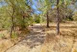 14331 Beitler Road - Photo 25