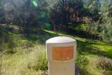 14331 Beitler Road - Photo 8