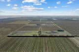 0 Peach Court - Photo 8