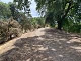 17398 Tracy Boulevard - Photo 13