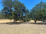17398 Tracy Boulevard - Photo 16