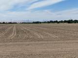 17398 Tracy Boulevard - Photo 2