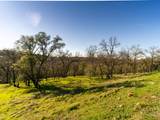 6702 Western Sierra Way - Photo 7