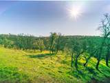 6702 Western Sierra Way - Photo 9