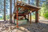 30100 Foresthill Road - Photo 13