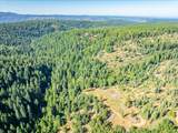 30100 Foresthill Road - Photo 37