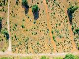 30100 Foresthill Road - Photo 47