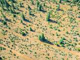 30100 Foresthill Road - Photo 48