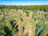 30100 Foresthill Road - Photo 53