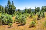 30100 Foresthill Road - Photo 88