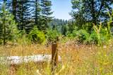 30100 Foresthill Road - Photo 89