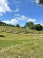 6060 Gold Hill Road - Photo 2