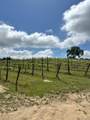 6060 Gold Hill Road - Photo 6