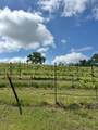6060 Gold Hill Road - Photo 8