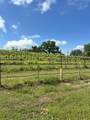 6060 Gold Hill Road - Photo 9
