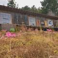 5631 Cloverdale Road - Photo 1