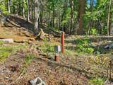 14442 Pello Court - Photo 4