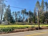 7125 Clark Road - Photo 5