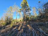 0 Double Eagle Way - Photo 30