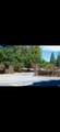 0 Shady Lane Drive - Photo 1