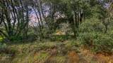 16202 Annie Drive - Photo 1