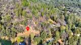 16202 Annie Drive - Photo 14