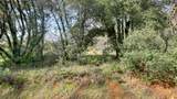 16202 Annie Drive - Photo 2