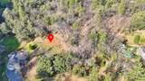 16202 Annie Drive - Photo 5