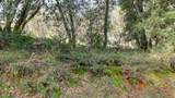 16202 Annie Drive - Photo 7