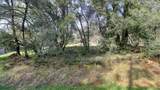 16202 Annie Drive - Photo 8