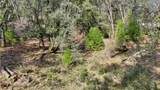 16202 Annie Drive - Photo 9
