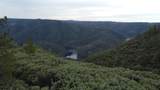 9220 Mule Skinner Road - Photo 1