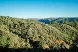 9220 Mule Skinner Road - Photo 10