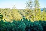 9220 Mule Skinner Road - Photo 11