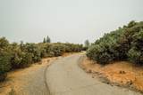 9220 Mule Skinner Road - Photo 15