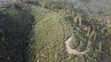 9220 Mule Skinner Road - Photo 2
