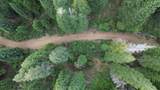 19372 Marsh Mill Road - Photo 11