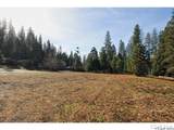 1100 Highway 4 - Photo 3