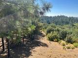 0 Sheep Ranch Road - Photo 10