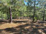 0 Sheep Ranch Road - Photo 11