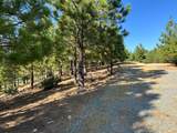 0 Sheep Ranch Road - Photo 12