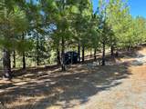 0 Sheep Ranch Road - Photo 13