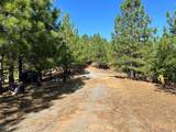 0 Sheep Ranch Road - Photo 2