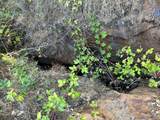 0 Sheep Ranch Road - Photo 25