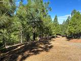 0 Sheep Ranch Road - Photo 26