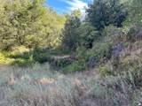 0 Sheep Ranch Road - Photo 29