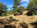 0 Sheep Ranch Road - Photo 31