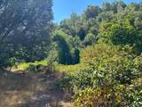 0 Sheep Ranch Road - Photo 37