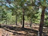 0 Sheep Ranch Road - Photo 39