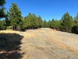 0 Sheep Ranch Road - Photo 4
